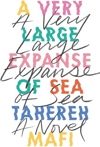 Best Asian YA Books - A Very Large Expanse of Sea